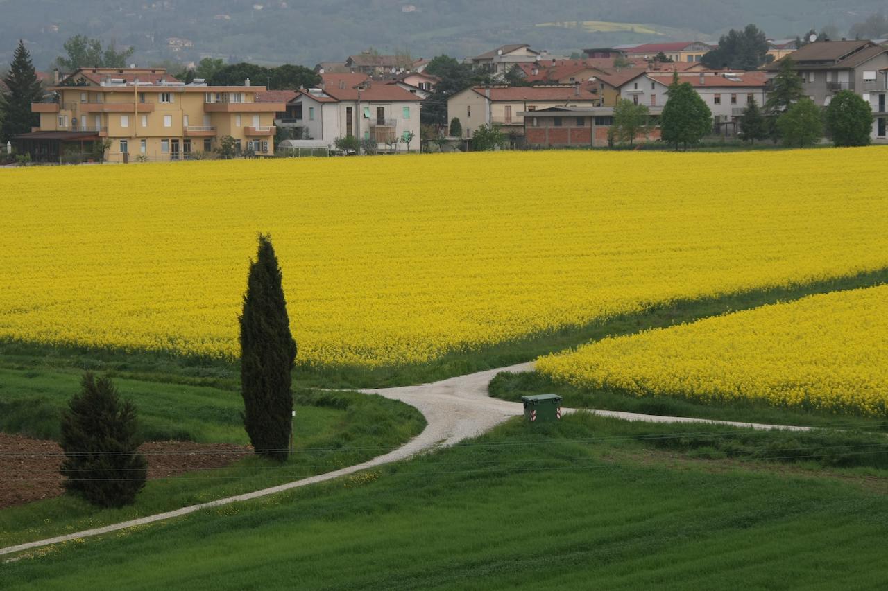 SantʼAngelo in VadoPalazzo Santinelli住宿加早餐旅馆 外观 照片